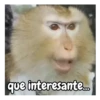 Monos 🍌🐒 (7sgryh2j4q)