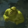💚•SHREK~GIFS•💚 (8hvw5mnkc4)