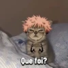 Sukuna/Itadori Memes - SeuZap (vsq3c7hybm)