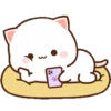 Kucing gemuy (r5dx6cj2yg)