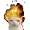 Kucing lucu (qh8n4v3bmt)
