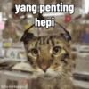 Kucing lucu (fbnd637kvs)