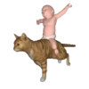 Meme😹 (gbq938z7wh)