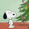 عيد الميلاد 🎅🏻🎄 (qsgcr34w5t)