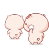 Stiker Piggy Bucin 🐷 (y57f4vkzwx)