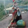 ༄PERRO CHAMAN🐕PACHAMAMA༄ (9y34v7h5tf)