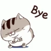 Stiker GIF Kucing Lucu (m85p9qkgcn)