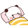 Panda gemuuuyy (c6g2n3yxtr)