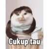 Kucing lucu (r8vkhj3f5p)