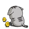 Stiker GIF Kucing Lucu (tf8b3kwyjm)