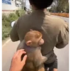 Más Monkys 🐵