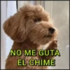 🐾⋆Perros|Dogs|Perritos🐾° (6sknc4jh8x)