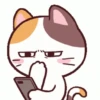 Stiker GIF Kucing Lucu (pjznqs6dxf)
