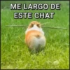 🐾⋆Perros|Dogs|Perritos🐾° (xp8mtk5y4v)