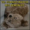 🐾⋆Perros|Dogs|Perritos🐾° (m93rgsxq58)