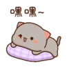 Kucing gemuy (2qzf9j68gb)