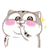 Cute Cat Bucin GIF ♥️ (qgb2r3v5jn)