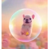 🧿 الكلب بيبيل 🐕🐶