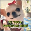 🐾⋆Perros|Dogs|Perritos🐾° (k6m549pw2d)