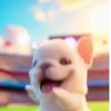 🧿 الكلب بيبيل 🐕🐶