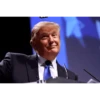 Donald Trump (4nrbp9qxm2)
