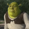 💚•SHREK~GIFS•💚 (567ksbqnv2)