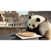 POOOLPIZZA (r5469jcz7v)