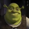 💚•SHREK~GIFS•💚 (pk6ysxz8qr)