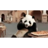 POOOLPIZZA (mwc8y6rpvf)