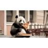 POOOLPIZZA (hft54sd7x2)