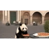POOOLPIZZA (tjkzyh2g3m)