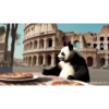 POOOLPIZZA (2sbfntcg7w)