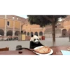 POOOLPIZZA (jswfm7dvgh)