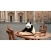POOOLPIZZA (hs8pcj9grm)