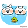 Nekogyuuun (fdtk53bmhr)