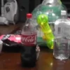 الهامستر المتحرك (7qkg2p93cm)