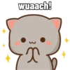 Hari hari Peach Cat (xq3wc5sjp2)