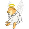 ZYRHA's Cheems (s7ytmq95nk)