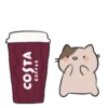 Costa Expression Pack #1