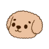 Pibubear animated (dhxwk3bgtp)