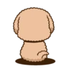 Pibubear animated (c9h2mbwn53)