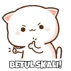 Peach Cat Santuy (2qb3jpm84d)