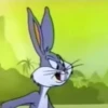 باغز باني واثق