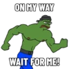 Pepe The Frog (k278x9sjng)