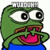Pepe The Frog (2s5xh7b3zn)