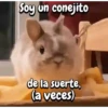 Funny's Rabbit 🥕🐇 (5q6zpg9ymn)