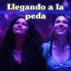 🧿Pa la Peda 🎶🍻🎤 (xw5m3zvf9k)