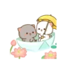 Love peach Mochi cat love  (s2xrhz5kpv)