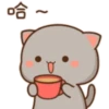 Love peach Mochi cat love  (xtjf769kqn)