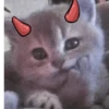 Gatos coolking👑 (tw765n3mhk)